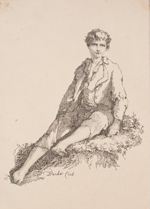 多图画的标本：坐在草滩上的男孩，1803年。
