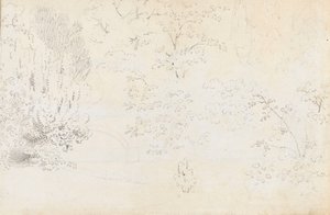 用石墨从西面研究桥和树木（背面）