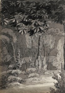 透过树木眺望单层建筑（背面）