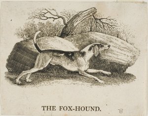 猎狐犬 作者 托马斯·贝威克
