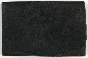 采花女木刻版画 作者 托马斯·贝威克