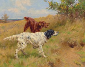 塞特犬，2001
