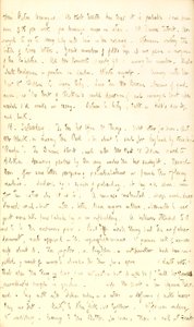 托马斯-巴特勒-冈恩日记--第二卷，第155页，1851年8月15-16日 作者 托马斯·巴特勒·冈恩