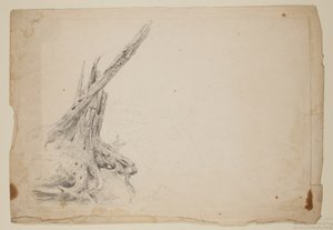 折断的树干（纸上铅笔） 作者 托马斯·科尔