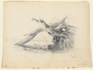 两棵枯树的素描 作者 托马斯·科尔