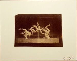 不明型号的Marey轮毂照片，1884年。 作者 托马斯·埃金斯
