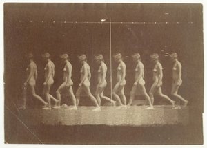 不明型号的Marey轮毂照片，1884年。 作者 托马斯·埃金斯