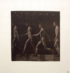 不明型号的Marey轮毂照片，约1884年。 作者 托马斯·埃金斯