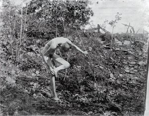 荆棘拉手，约1883年。 作者 托马斯·埃金斯