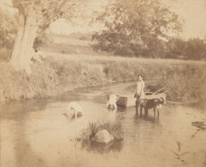 [三个孩子和一只狗在小河里玩耍，1883年7月4日]，1883年。 作者 托马斯·埃金斯