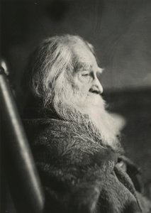 沃尔特-惠特曼在新泽西州的卡姆登，约1891年。 作者 托马斯·埃金斯