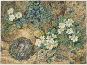 鸟巢、紫罗兰、报春花和苹果花的静物画 作者 托马斯·弗雷德里克·科利尔