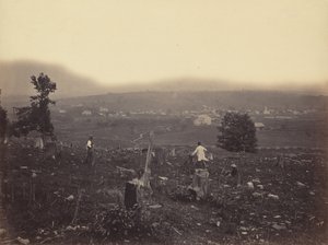 Waymart, Del. & Hudson Canal Co., c. 1863-1865。