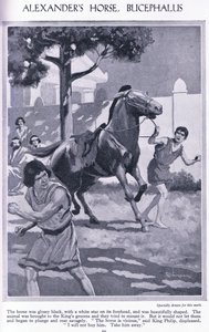 亚历山大的马，Bucephalus：这匹马全身乌黑光亮，额头上有一颗白星，约 1950 年（石版印刷）。 作者 汤玛斯·希思·罗宾逊