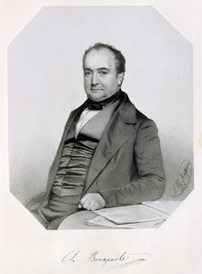 Charle Lucien Jules Laurent Bonaparte，卡尼诺王子和Musignano（1803-57）1850年 作者 托马斯·赫伯特·马奎尔