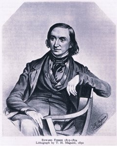 爱德华福布斯（1815-1854），英国自然，1946年由柯林斯出版 作者 托马斯·赫伯特·马奎尔
