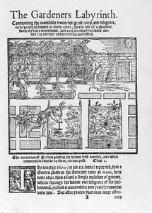 从1577年的园丁迷宫（The Gardeners Labyrinth）开始，阿尔布尔（Arbor）建造成遮阳和种植在高高的床上