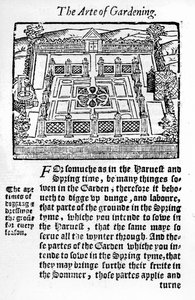 伊丽莎白花园来自有利可图的园艺艺术，1568年