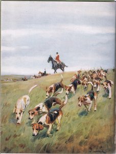 Foxhunting，来自&39;猎犬&39;的插画