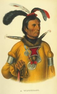 一个Winnebago，1854年（手工彩色光刻）