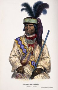 比利·鲍格斯（Billy-Bowlegs），塞米诺尔酋长，1899年