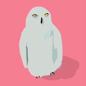 猫头鹰 作者 托马斯·麦格雷戈