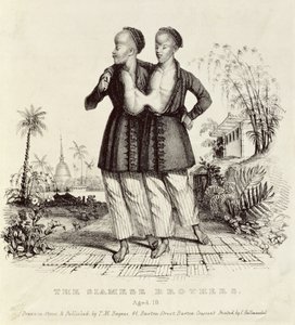 暹罗兄弟，18岁，由Charles Hullmandel（1789-1850），c.1829印刷 作者 Thomas Mann Baynes