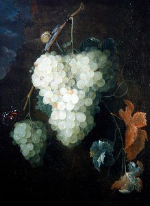 葡萄、红海燕和蜗牛的静物画 作者 托马斯·梅滕斯