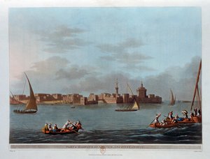 1801年，埃及古代犬种Aboukir堡和港口