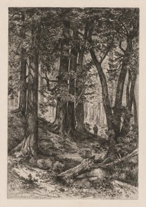 加州森林内景（托马斯-莫兰（美国 作者 托马斯·莫兰