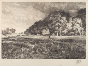 长岛景观 作者 托马斯·莫兰