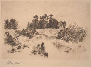 Passaic Meadows（在纽瓦克草甸） 作者 托马斯·莫兰