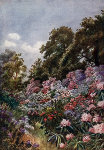 邱园：杜鹃花戴尔（彩色石版画）