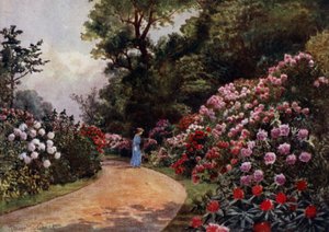 Kew Gardens: The Rhododendron Walk (colour litho)