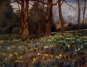 Kew Gardens: The Wild Garden in Spring (colour litho)