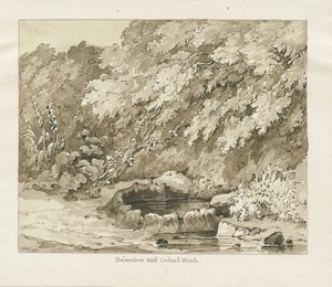 Codsall Wood-硫磺井：棕褐色绘图 作者 托马斯·佩普洛伍德