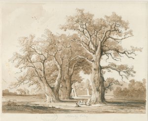 特德斯利堂-橡树：铅笔和水墨画，未完成[1842年11月]（绘画）