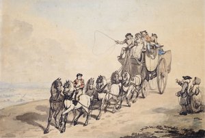 教练现场 作者 托马斯·罗兰森