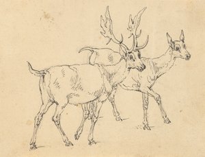 相册绘画 作者 托马斯·罗兰森