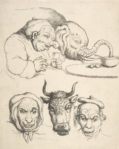 比较解剖学，1800-25.，1800-25.。 作者 托马斯·罗兰森