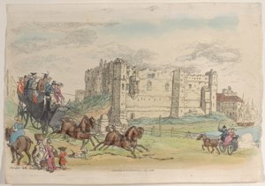 图版22，摘自《微型世界》，1816年，1816年。 作者 托马斯·罗兰森