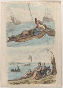 图版29，摘自《微型世界》，1816年，1816年。 作者 托马斯·罗兰森
