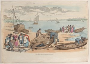 图版31，摘自《微型世界》，1816年，1816年。 作者 托马斯·罗兰森