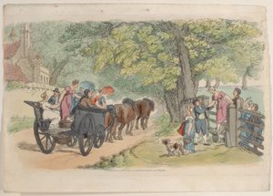 图版33，摘自《微型世界》，1816年，1816年。 作者 托马斯·罗兰森