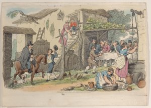 图版34，来自《微型世界》，1816年，1816年。 作者 托马斯·罗兰森