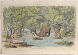 图版37，摘自《微型世界》，1816年，1816年。 作者 托马斯·罗兰森