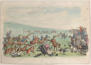 图版39，摘自《微型世界》，1816年，1816年。 作者 托马斯·罗兰森