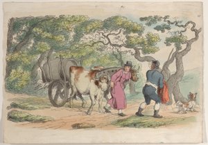 图版40，摘自《微型世界》，1816年，1816年。 作者 托马斯·罗兰森