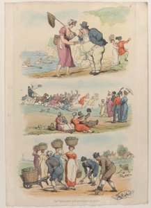 图版8，摘自《微型世界》，1816年，1816年。 作者 托马斯·罗兰森
