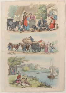 图版9，来自《微型世界》，1816年，1816年。 作者 托马斯·罗兰森